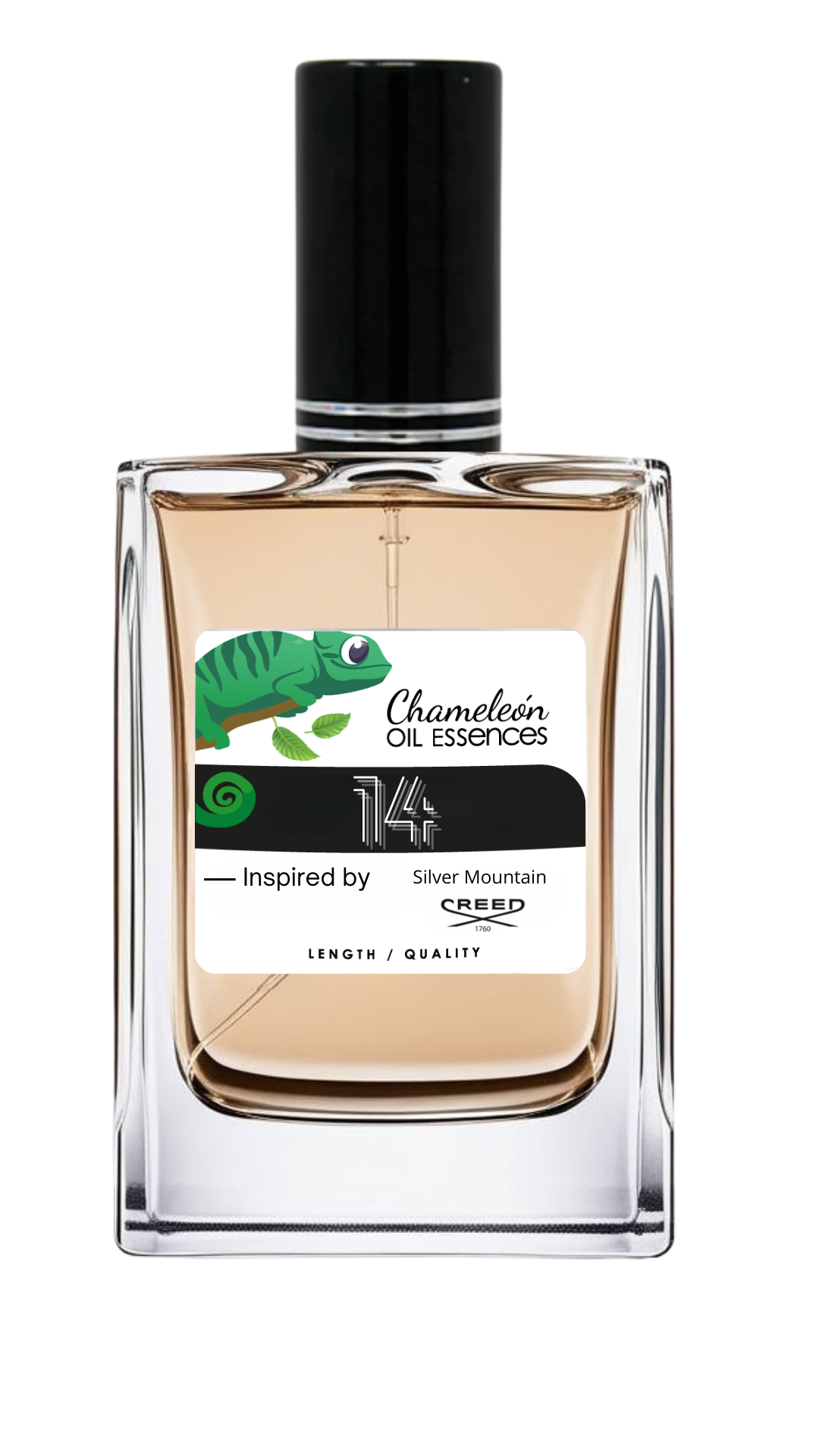 14 inspirado by Silver Mountain for men
