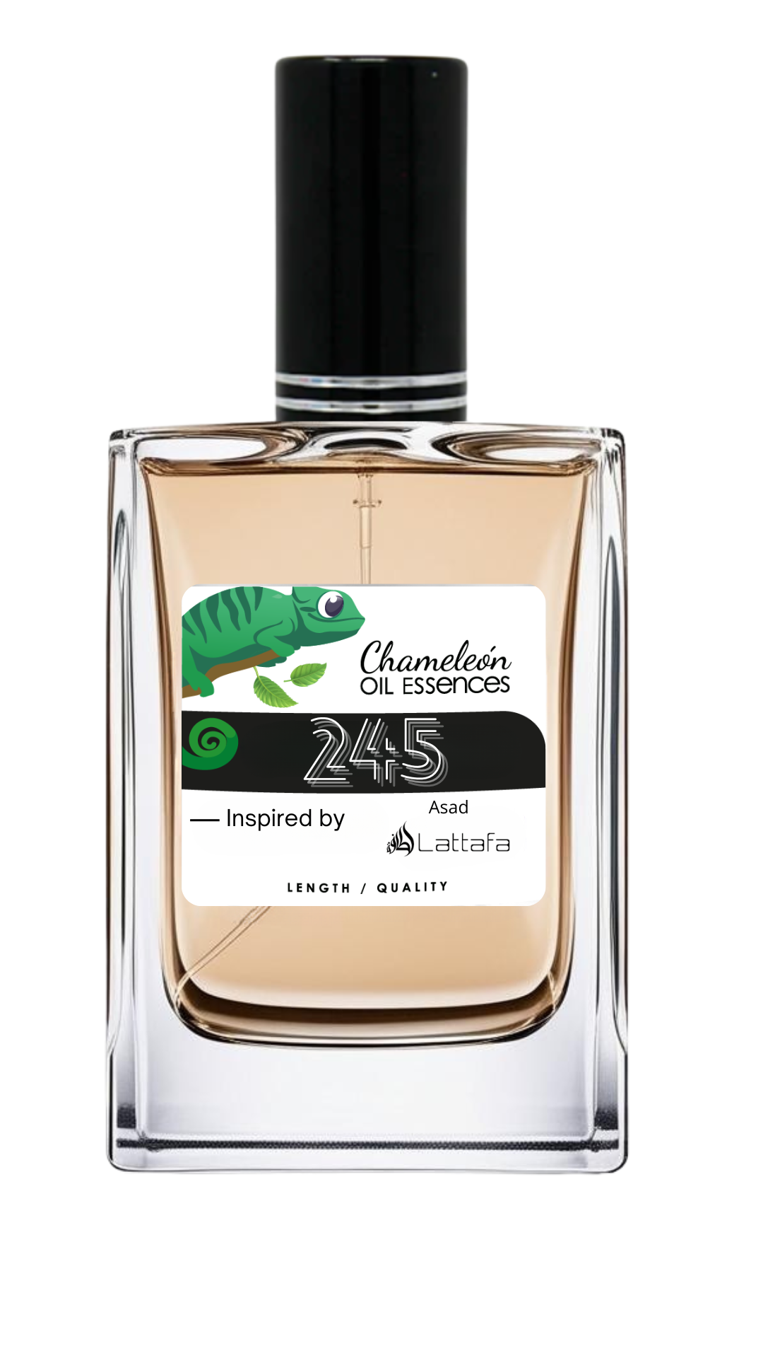 247 Inspired by Asad