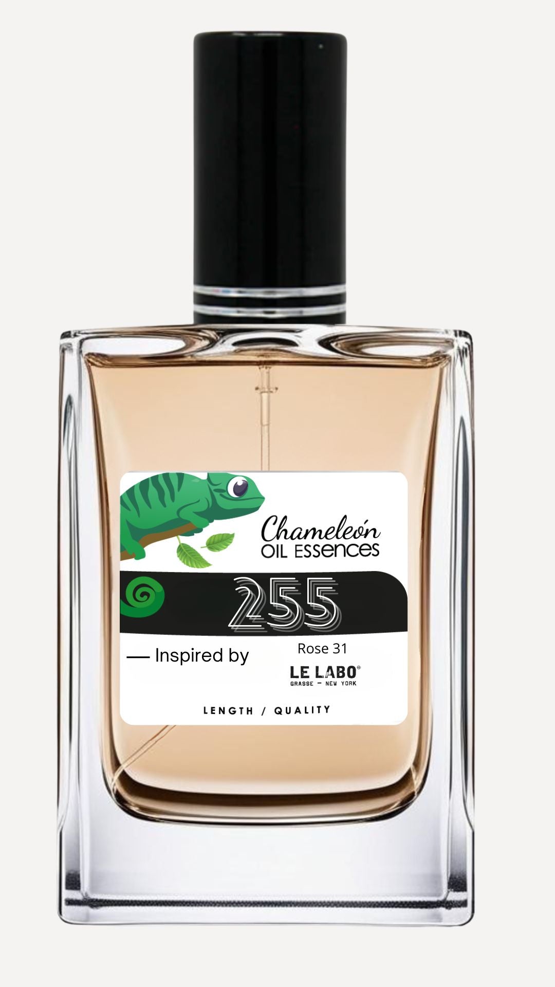 255 Inspired by Rose 31