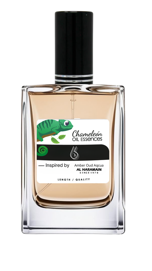 6 Inspired by Amber Oud Aqua for men