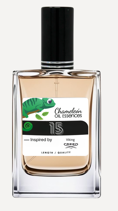 15 inspired by Viking for men