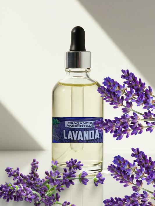 Lavanda / Lavender