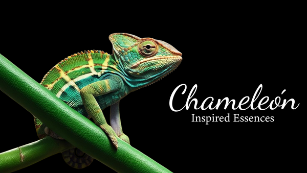 CHAMELEON SCENTS