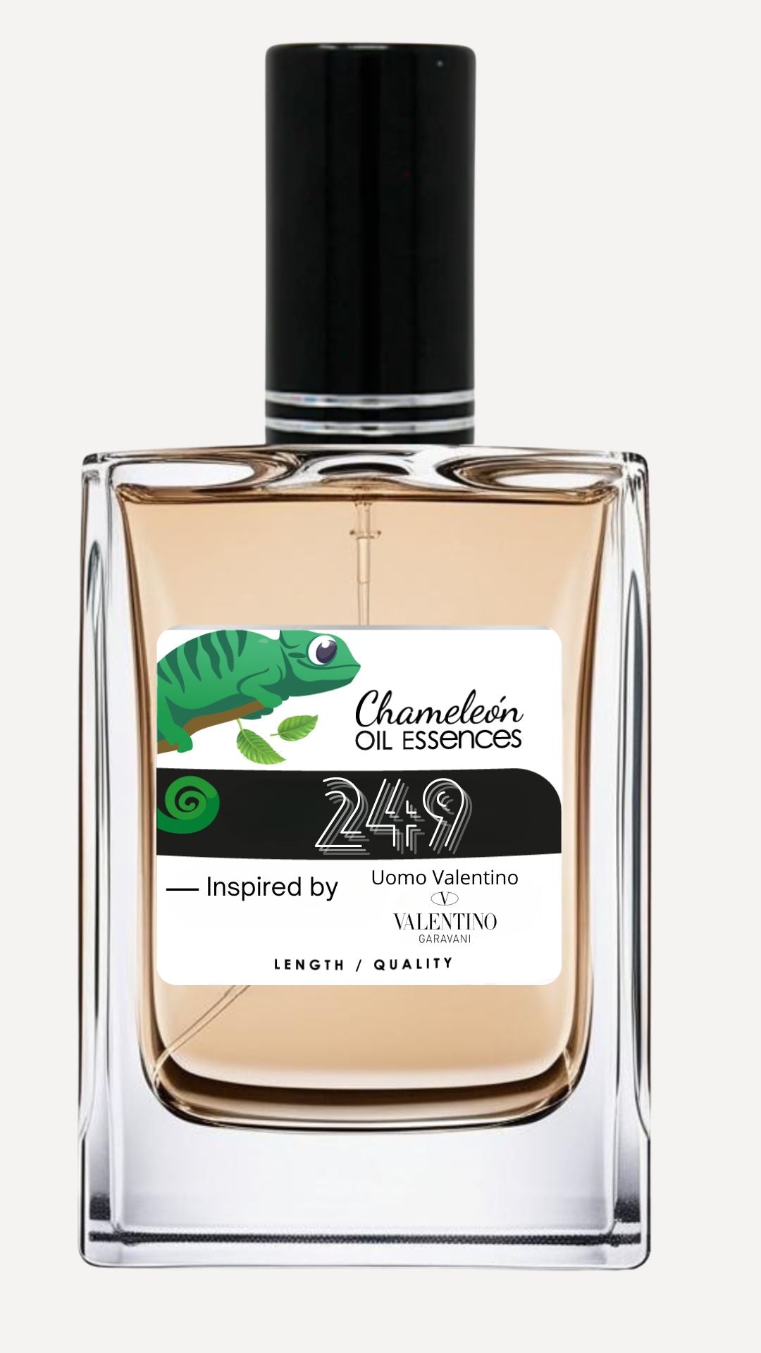 249 Inspired by Uomo Valentino